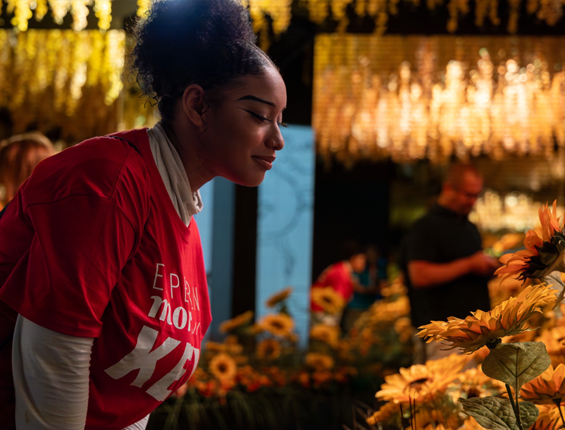A student wearing an IU shirt looks at some yellow flowers.