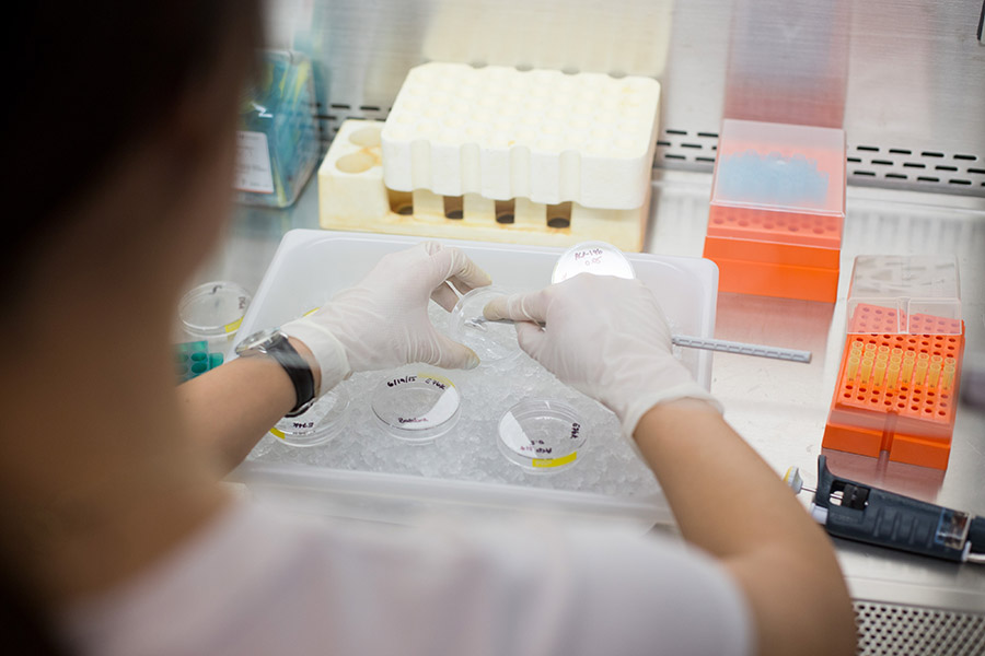 An IU School of Medicine student in a medical research lab.