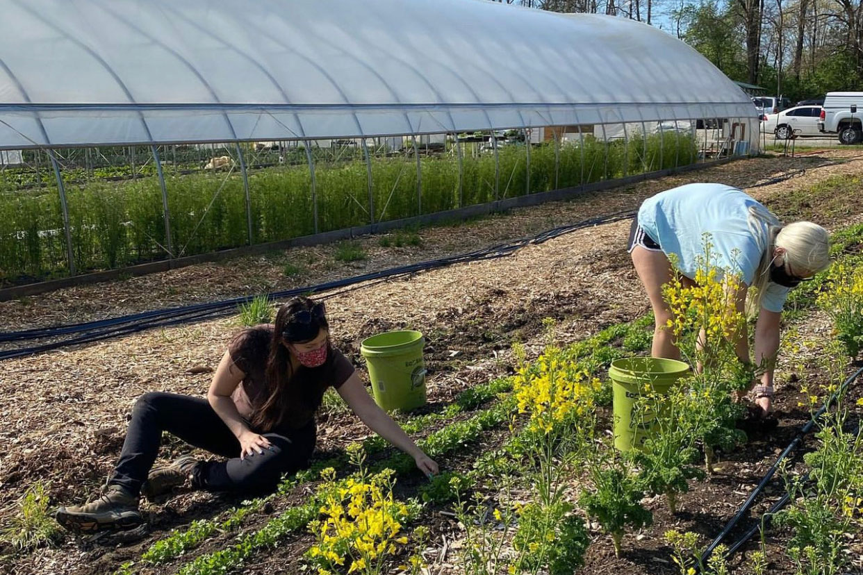 Two geography students work in an outdoor research lab.